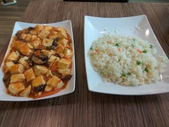 Some tofu and rice